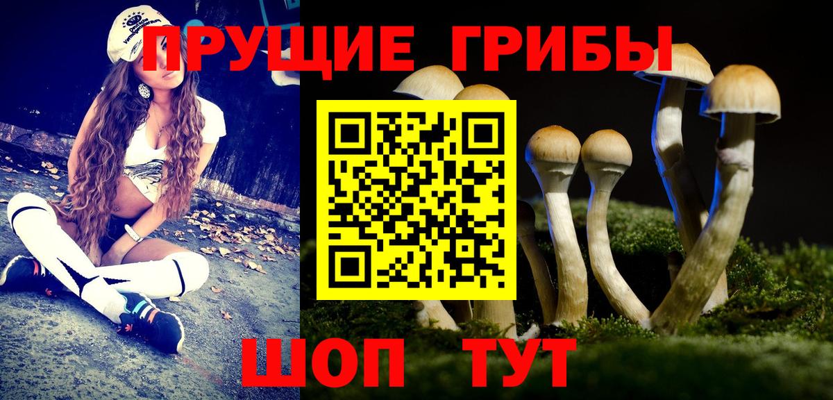 Галлюциногенные грибы Psilocybe  Псилоцибиновые грибы мицелий  Луховицы  Вход с VPN 